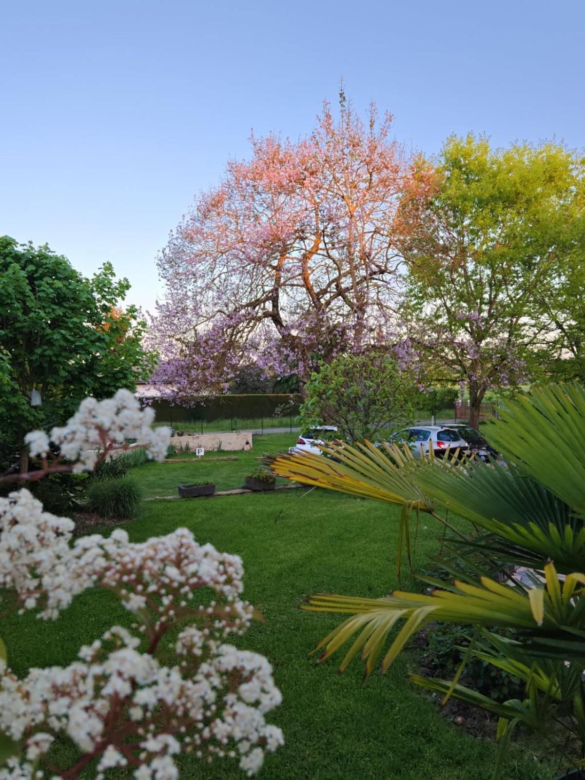 Chambre Dans Colombier A 10 Mn De Vichy Buitenkant foto